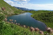 Anello Corno Stella e i suoi laghi da Foppolo, solo, in compagnia degli stambecchi il 15 luglio 2017  - FOTOGALLRY